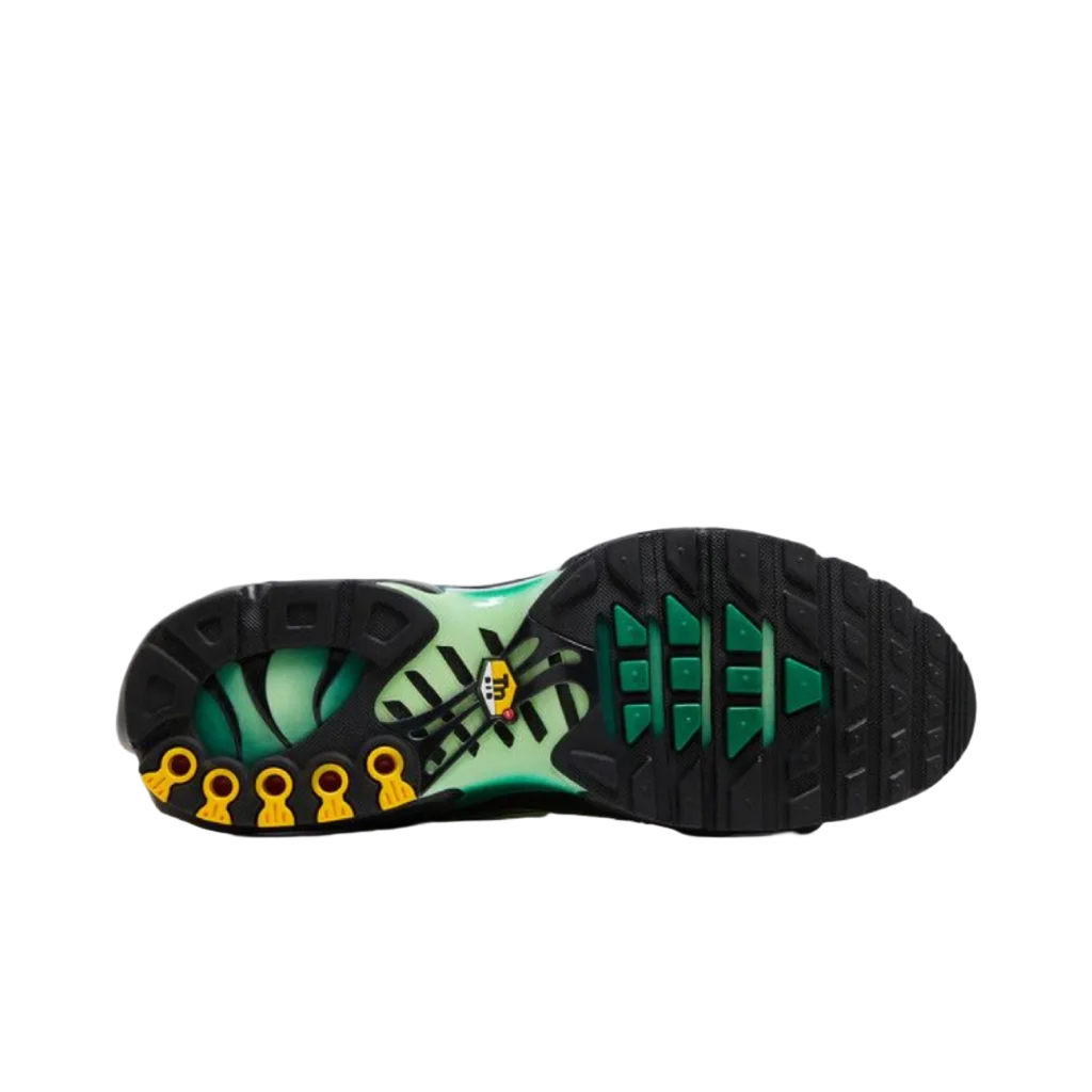 Nike Air Max Plus 'Vapor Green Gradient'