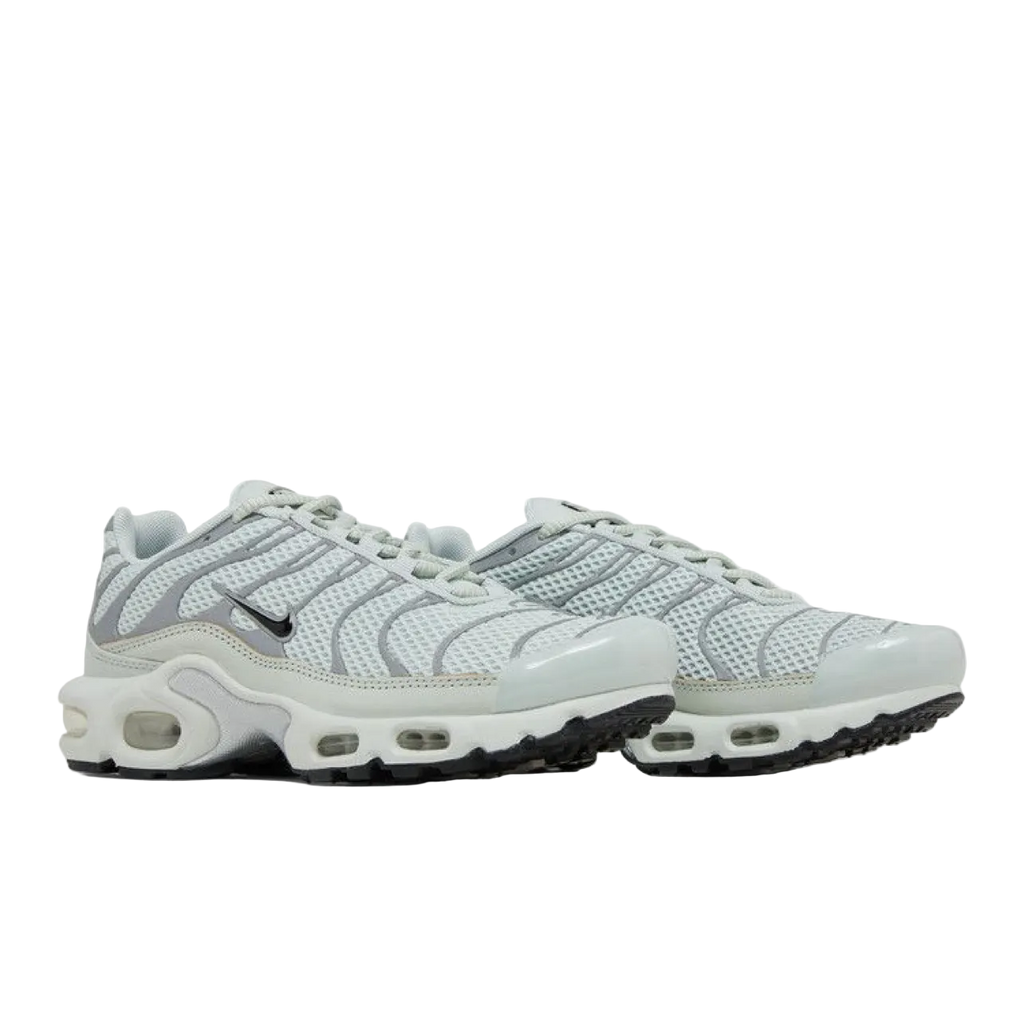 Nike Wmns Air Max Plus 'Light Silver'