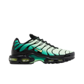 Nike Air Max Plus 'Vapor Green Gradient'
