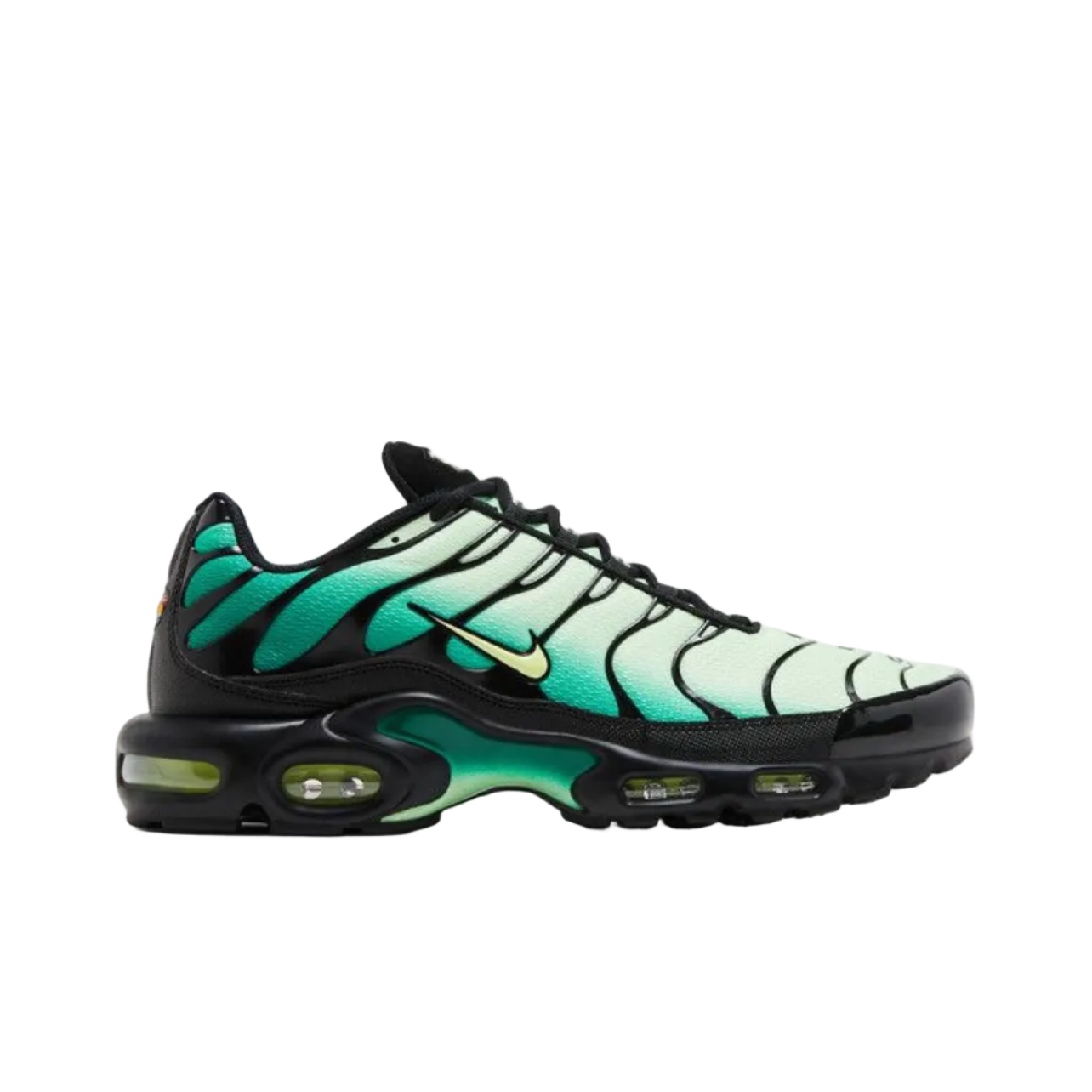 Nike Air Max Plus 'Vapor Green Gradient'