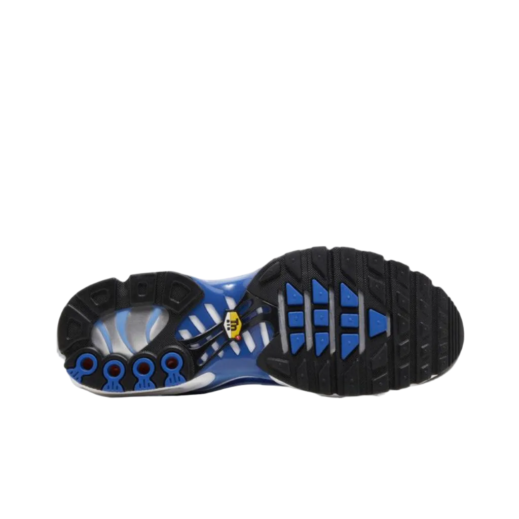 Nike Men's Air Max Plus 'Light Royal'