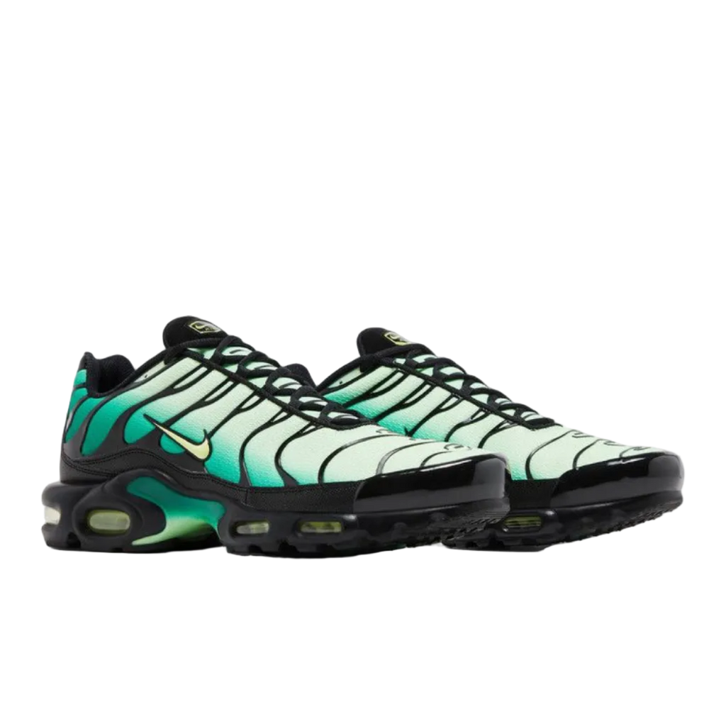 Nike Air Max Plus 'Vapor Green Gradient'