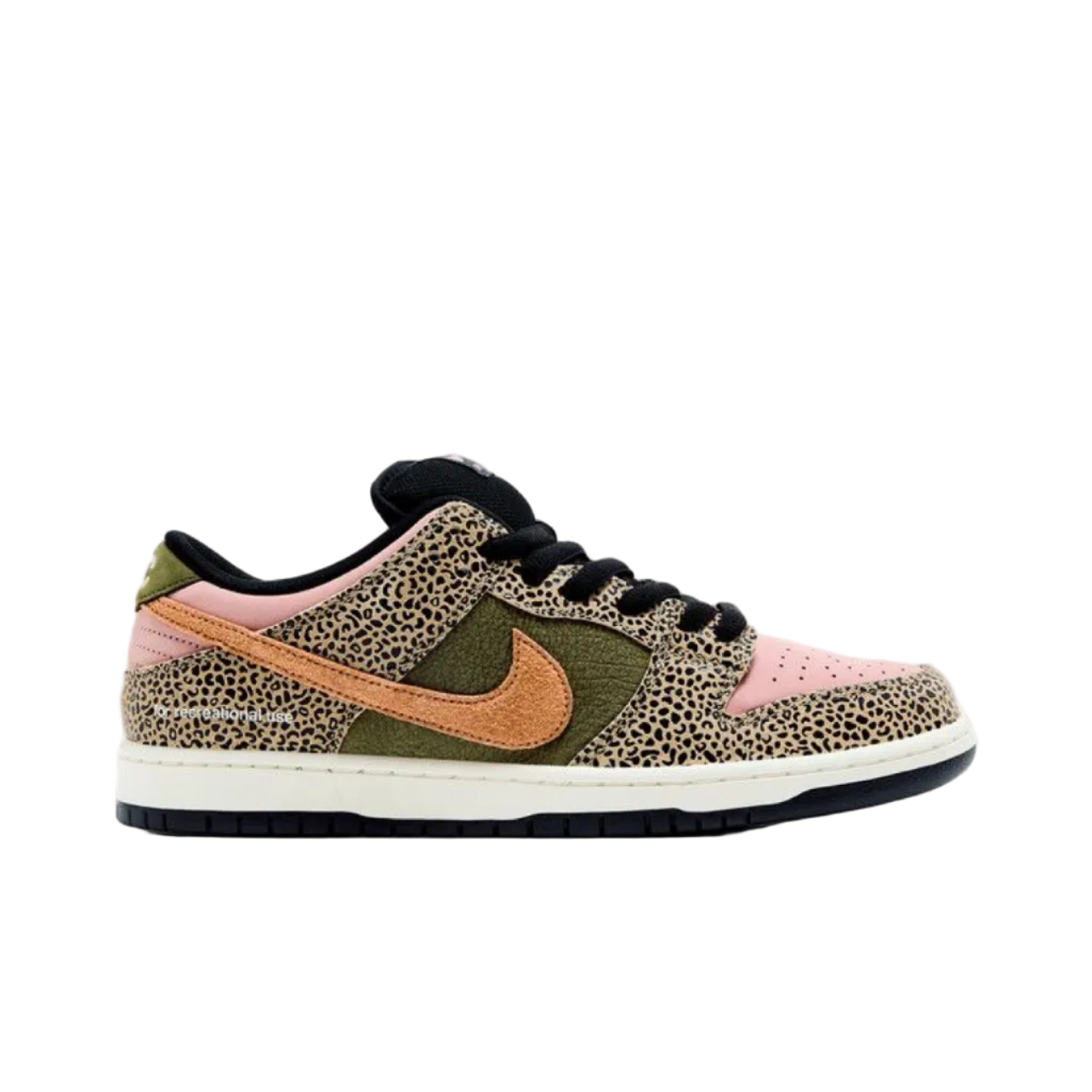 Arts-Rec x Nike Dunk Low SB 'For Recreational Use'